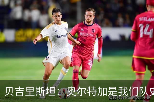 贝吉里斯坦：奥尔特加是我们队史最好二门